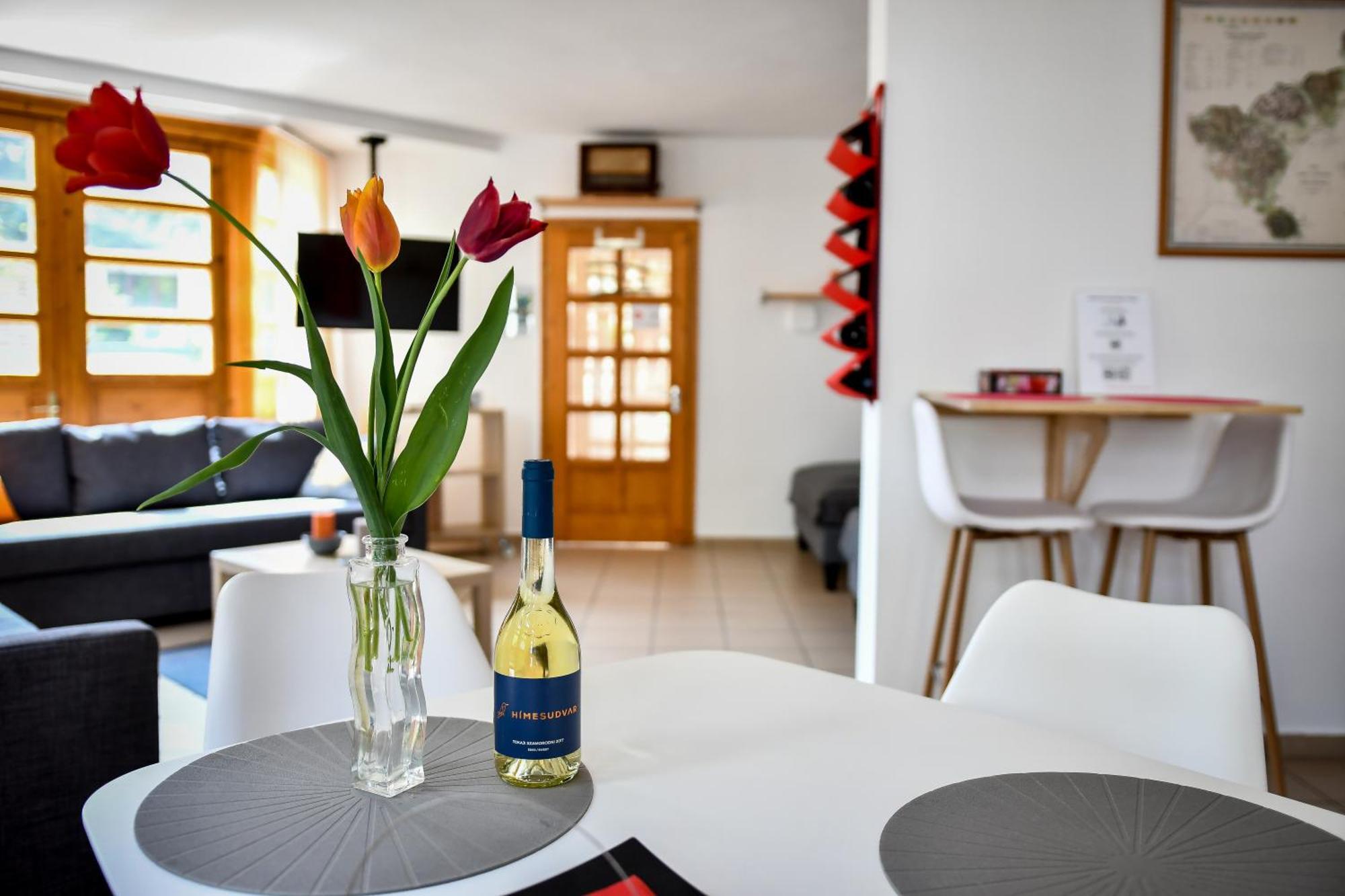 Boralom Studio Apartman Tokaj Exterior photo