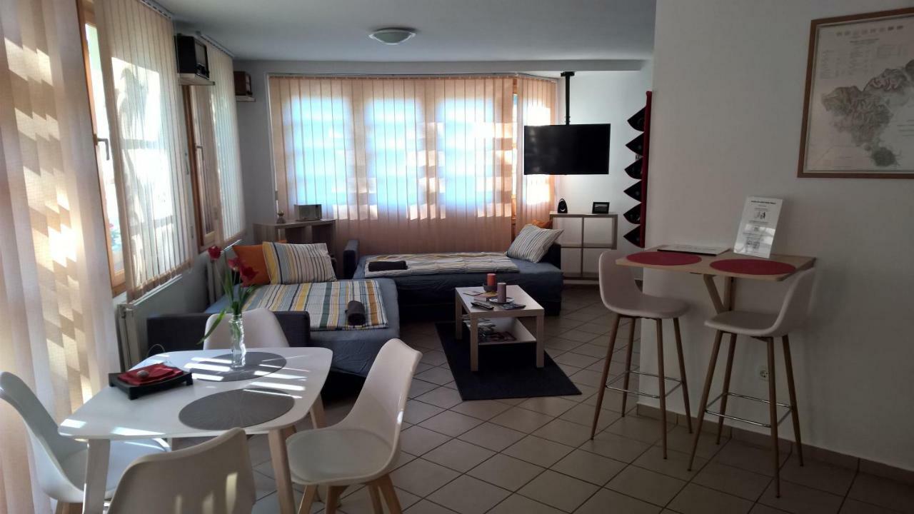 Boralom Studio Apartman Tokaj Exterior photo